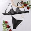 Low Cut Gathered Bra Set  Mesh Hollow Out Lingerie Two Piece For Women Bras & Bra Sets