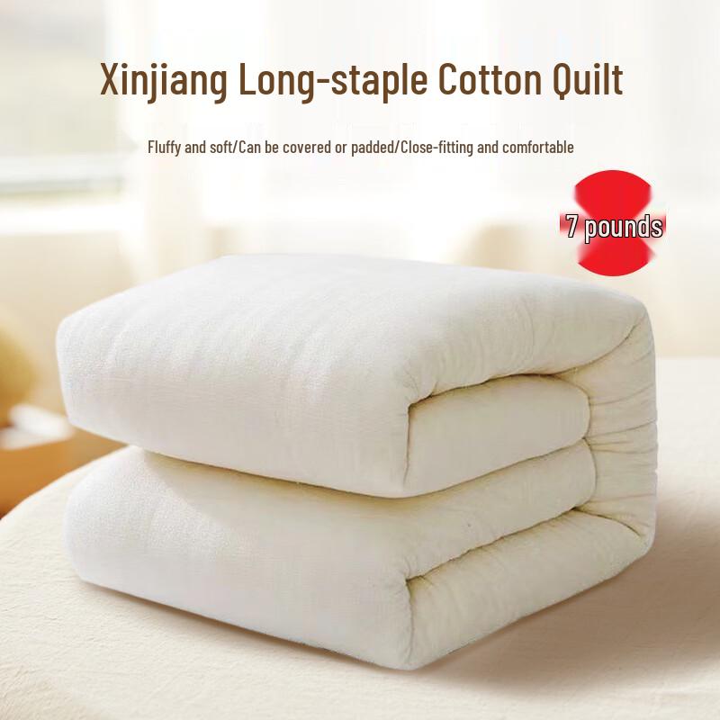Xinjiang Long-Staple Cotton Winter Quilt