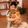 Peluches Tortue Marine Sauvage Animaux en Peluche Sous la Mer Tortue Oreiller à Câliner Poupée Compagnon Mignonne Cadeaux Pour Enfants