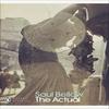 The Actual by Saul Bellow Paperback Book 9780141188843