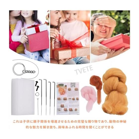 TVETE Wool Felting Kit Needle Beginner [Orange Cat] English Instruction Manual Included Handicraft Kit Introduction Stress Relief Healing DIY Craft