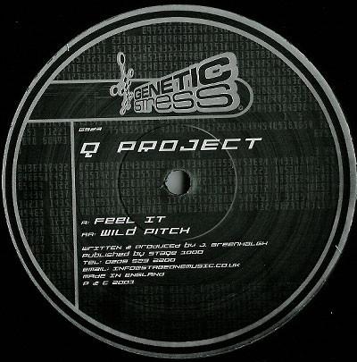 

12inch Record Q PROJECT - Feel It / Wild Pitch GS23 Genetic Stress 2001 UK Dance & Electronica Used