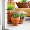 10 Pcs Decorative Stakes, Lifelike 3D Big Dragonflies PVC Dragon Fly Garden Stake for Indoor Outdoor Yard Balcony Plant Flower Pot Decor