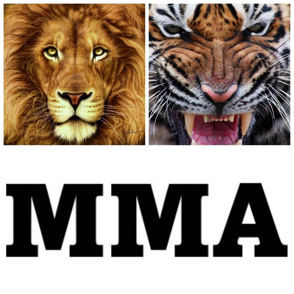 Lin Tiger Muay Thai T-Shirt Kick Boxing 3D Print Vintage Training UV Protect Quick Dry Men Women Unisex Short Sleeve Round Neck MMA Mix Martial Art