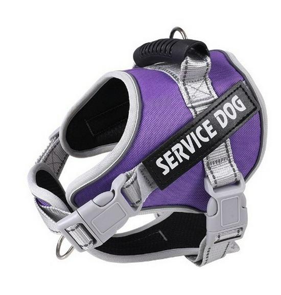 Reflektierende Atmungsaktive Hundeleine & Geschirr - Explosionsgeschütztes Design