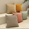 Simple Bohemian Cotton Linen Pillow Sofa Living Room Cushion Solid Color Ins Pillow