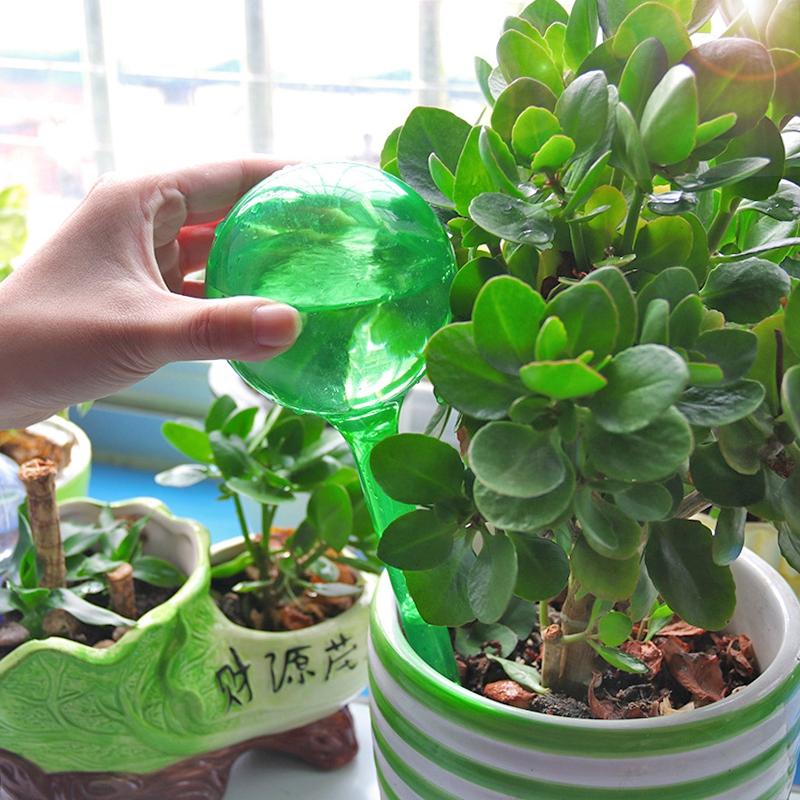 3 Stück Zimmerpflanzen Selbstbewässerungskugel Automatische Pflanzenblumen Wasserbirnen Tropfbewässerungsgerät System für Garten Blumenpflanze