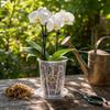 Transparent Plastic Orchid Pot with Drainage Holes and Saucer Root Control Pot for Moss Plants Visible Root System Breathable Pot 16cm Diameter