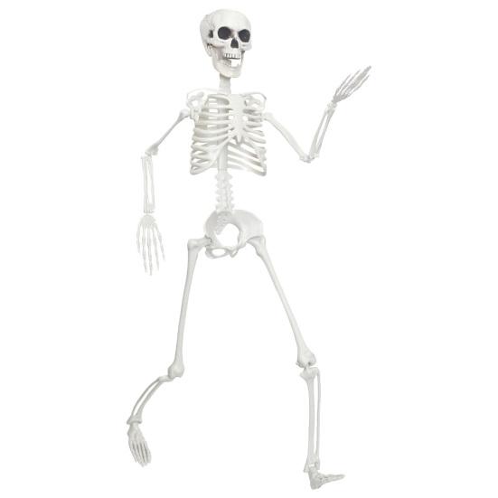 High Quality Halloween Skeleton 3ft Life Size Skeleton, Full Body Posable Plastic Prop, Realistic Adjustable Figurine Human Bones Model for Yard Patio 1pc