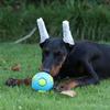 Pet TPR Toy Ball Interaction Pets Relieving Boredom Bite Resistance Small Medium-sized Dog Grinding Sleeping Venting Ball Flash
