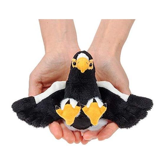 [COLORATA] Colorata Plush Mascot Steller's Sea Eagle (Realistic Bird/With Chain) Cute Bird Keychain Doll Gift Present (Meter Read 2 Times) /
