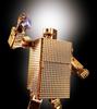 TAMASHII NATIONS Soul of Chogokin Golden Warrior Gold Lightan Gold Lightan 24K gold plated finish Approximately 130mm robot painted movable figure