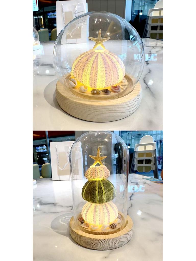 Sea Urchin Shell Jellyfish Night Light: Heart-Shaped Ornament for Mother's Day or Birthday