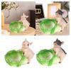 Cute Pig Statue Cabbage Storage Tray Handicrafts Ornament Desk Organization