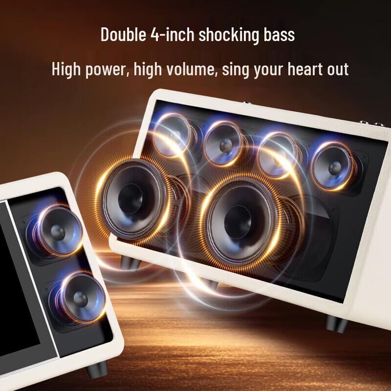 SAST Portable Home KTV Karaoke System CN plug (adapter included)