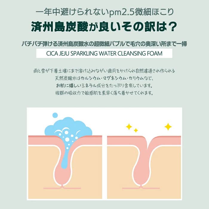 [Authentisch] SHINY cosmetic CICA Kohlensäurehaltiger Wasser Reinigungsschaum 250ml