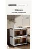 Foldable Plastic Storage Cabinet: Flip-Top Wardrobe Organizer for Clothes and Medicine