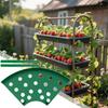 Strawberry Holder Cradles for Garden 4 Piece Rack Support Growing Protector Cage Stand for Fruit Gardening Potted Planter
