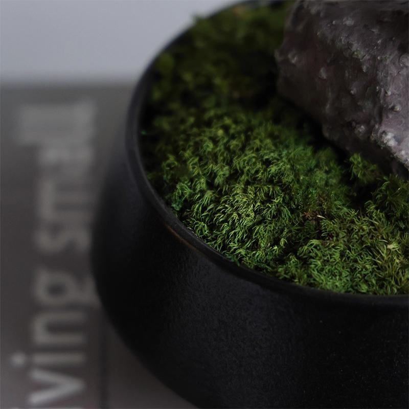 Simulation fake tree bonsai home living room Chinese sand table hotel porch landscaping decoration green plant ornaments