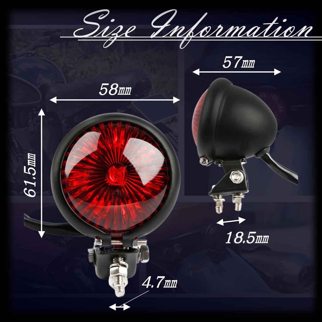 Dr.nao Motorcycle Tail Lamp, Tail Light, Brake Lamp, Motorcycle, General Purpose (Silver X Black)