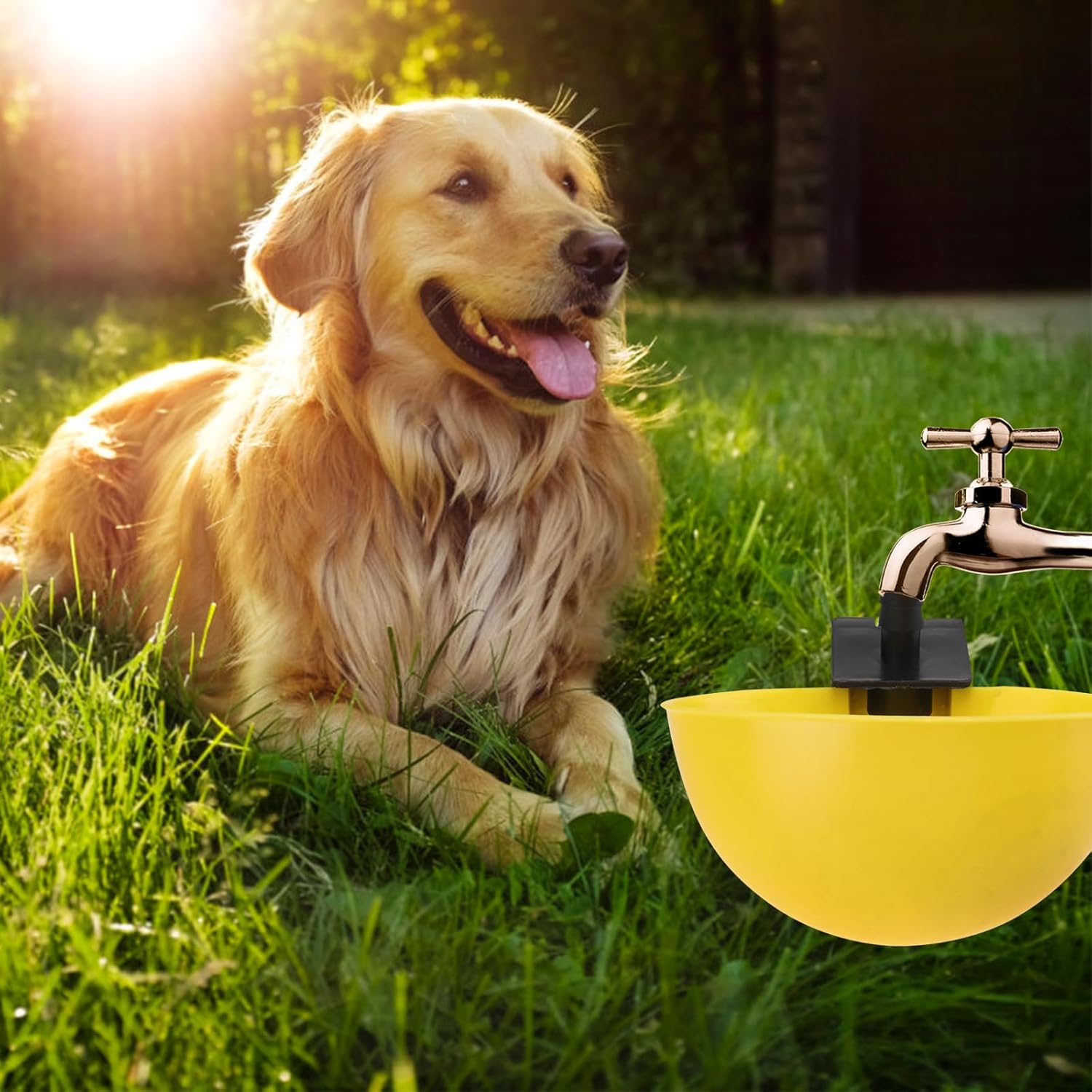 

Cabilock 15 шт. Поилка для голубей, Поильные чашки для птицы, Автоматическая поилка для птицы, Миска для воды для кроликов, Автоматическая кормушка для воды для птиц, Поилка для голубей