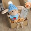 Mini-Häschen-Umarmung, Ostergeschenk, Plüsch-Kaninchenpuppe mit Strickmütze und Bommeltasche, emotionales Unterstützungstier mit Geschenkbox, inspirierende Karte