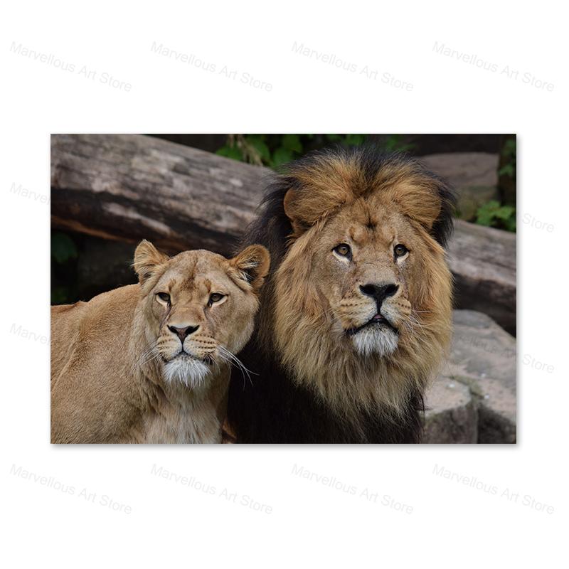 Black and White Lion Posters and Prints Painted On Canvas Painting Modern Animal Wall Art Pictures for Living Room Home Decor