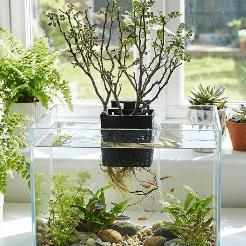 Uitschuifbare Haak Waterplantenhouder Veelzijdig Plantenkweekrek Plantenkweek