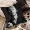 Actor And Singer Xu Guanghan Pillow Case Fashion Square Pillowcase Bedroom Sofa Room Ins Decoration Leisure