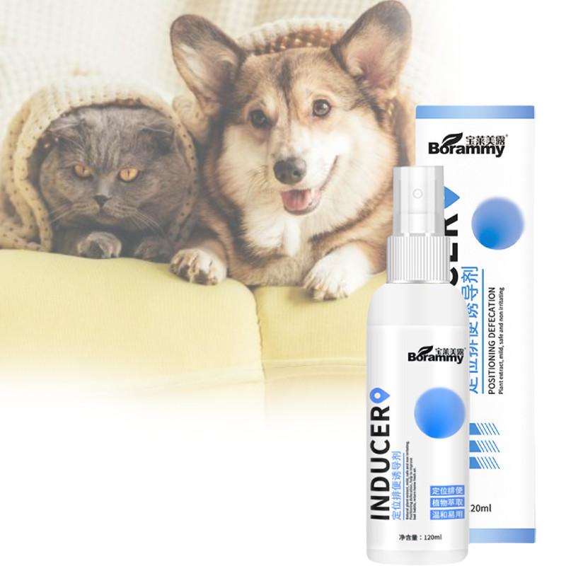 Effektives Stubenreinheitsspray für Hunde zur Standortführung für Urin und Kot