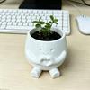 3D Printed Creative Dragon Egg Succulent Pot - Easter Balcony Decor