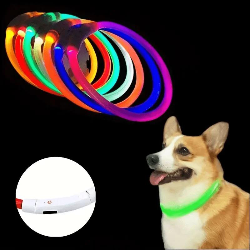 USB-wiederaufladbarer Glasfaser-Halsband Haustier Hund LED-Licht-Halsband Leuchtendes Anti-Verlust Hundehalsband USB-wiederaufladbares Hundehalsband Halsband