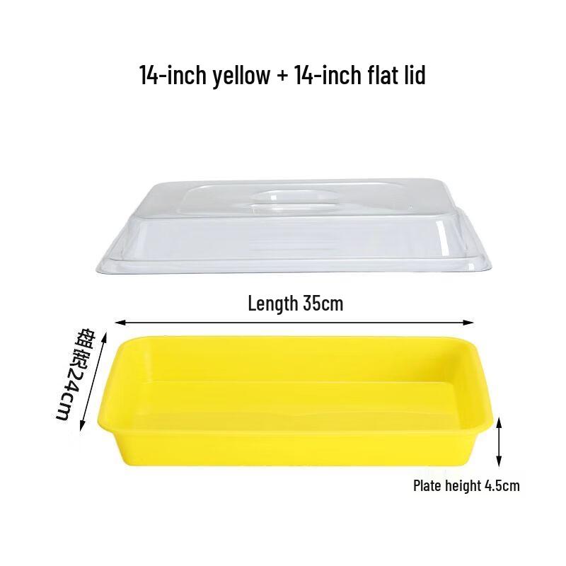 Stainless Steel Rectangular Food Display Tray with Lid