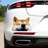 2 Pack 5"x4" Adorable Shiba Inu Vinyl Stickers - Funny Cartoon Design, Waterproof and