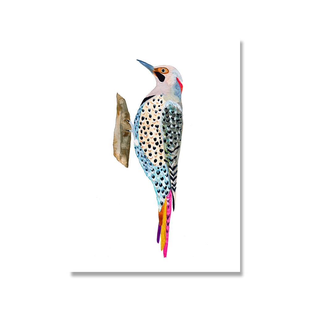 Toucan Watercolor Tropical Rain Forest  Wall Art Canvas Painting Nordic Toucan Posters And Print Picture Living Room Home Decor