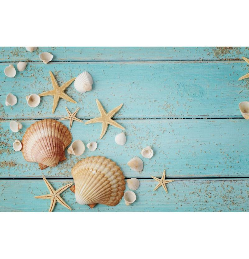 Decorazione Sfondo Spiaggia Tropicale Conchiglia Stella Marina Vacanza Estiva Per Festa in Piscina Sfondi Per Fotografie