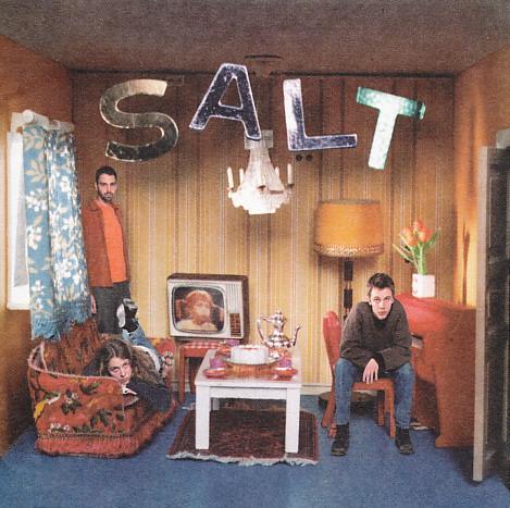

CD SALT - Auscultate 3145241982 Island Records 1996 US Классика Б/У