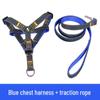 Multi-Size Dog Leash & Collar Set for Walking - Suitable for Small To Large Breeds