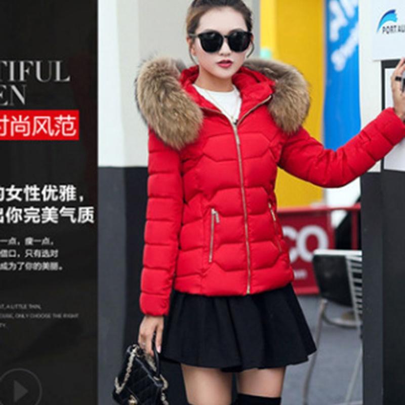 Womens Short Slim Quilted Winter Coat With Fur Hooded Collar And Stylish Design