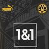 Puma Special Edition Jersey Borussia Dortmund