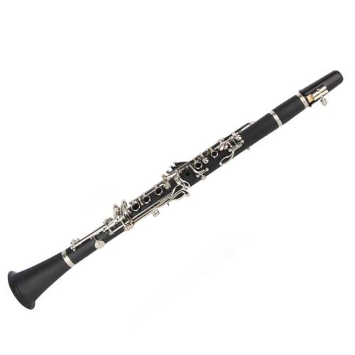 Beginner's Clarinet, Made of Durable Wood, Includes Cleaning Cloth, Bb Key Clarinet, Black