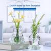 Creative Glass Vase for Flower Arrangements and Home Decor - Ideal for Dried Flowers, Desktop Display, and Hydroponic Plants
