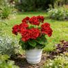 Weatherproof Geraniums | Lifelike Red Faux Flowers for All-Season Outdoor Use & Indoor Decor - Perfect Garden, Patio, and Home Centerpiece