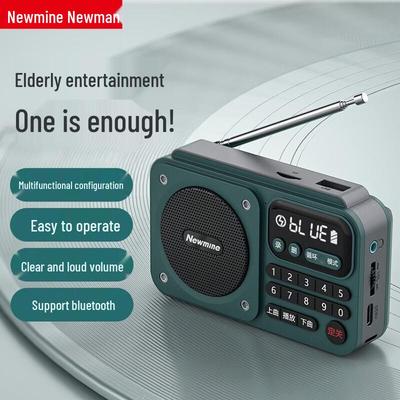 Newmine N123 Portable Rechargeable Radio for Seniors CN Plug (adapter Included)
