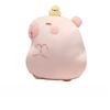 Gorra Multifuncional 3 en 1 Estilo Casual Capibara con Manta de Forro Polar Calentador de Manos Capibara Rosa Pájaro Estrella Gorras Cojín de Cama para Niño