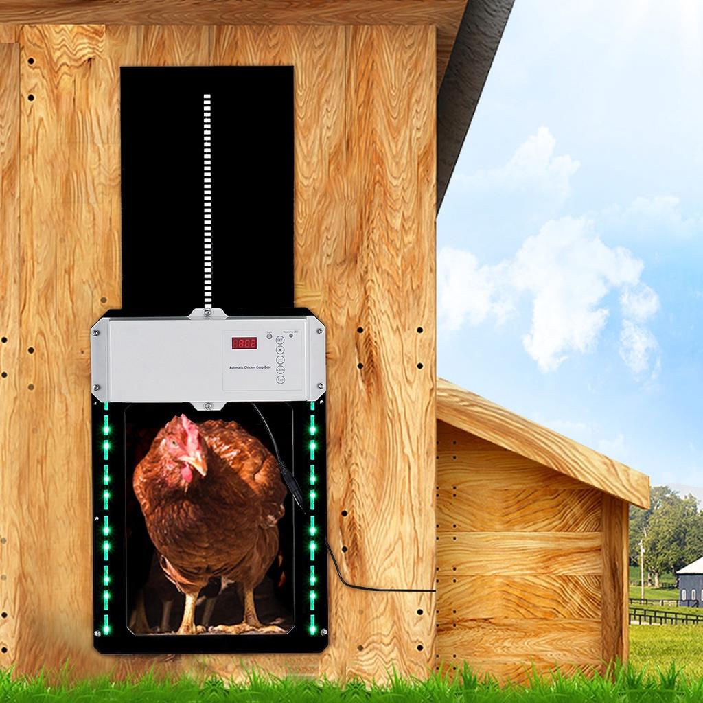 130ft 110-220V Otevírání dveří Farma Kuřata Domácí mazlíčci Pes Otvírač dveří Černý Časové ovládání Kurník Automatický otvírač dveří