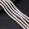 36cm Strand 9-10mm White Natural Freshwater Coin Pearls Spacer Beads DIY Earring Necklace Bracelet Parts