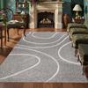 Abstract Curve Pattern Area Rug Modern Art Minimalist Geometry Home Decor Carpet Soft Non-slip Mat for Living Room Bedroom