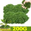 300/30g Artificial Green Moss Eternal Life Moss Grass Mini Landscape Fake Grass DIY Craft Faux Preserved Plant Moss Garden Decor