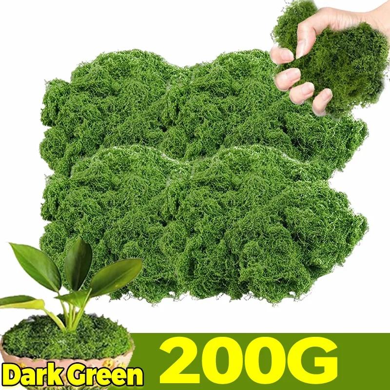 300/30g Artificial Green Moss Eternal Life Moss Grass Mini Landscape Fake Grass DIY Craft Faux Preserved Plant Moss Garden Decor